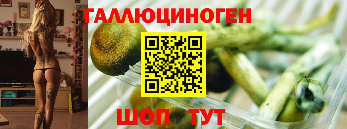 ГАШИШ  Кольчугино  Мефедрон кристаллы  Вход с VPN  Cocaine  Лсд 25 